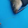 17 5cm Fishing Hook Quick Removal Device Security Extractor Stainless Steel Hook Detacher Removal Fishhook Disgorger
