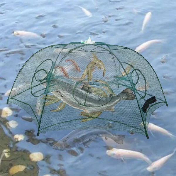 my-11134207-7r98o-lkrhjvxi87wr27.webp Portable Folding Fishing Net Shrimp Cage Nylon Automatic Foldable Catch Fish Trap