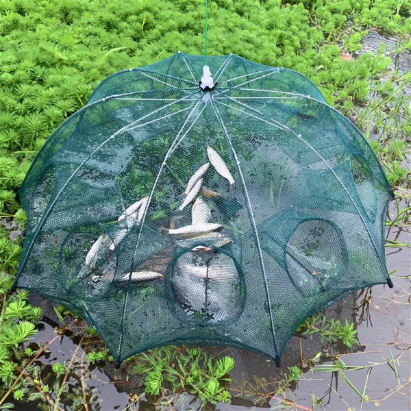 my-11134207-7r98o-lkrhjvxidu6jec.webp Portable Folding Fishing Net Shrimp Cage Nylon Automatic Foldable Catch Fish Trap