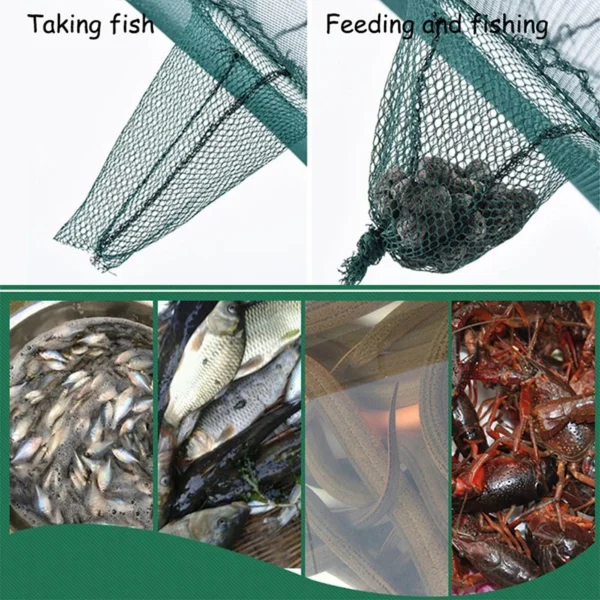 my-11134207-7r991-lmy3gcsas4wje8.webp Portable Folding Fishing Net Shrimp Cage Nylon Automatic Foldable Catch Fish Trap