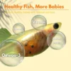 my-11134207-7rasg-m6f1jwlr15eq4e.webp Fish Food Nutrient Rich Guppy Feed Stronger Growth