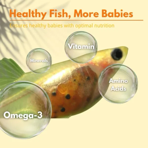 my-11134207-7rasg-m6f1jwlr15eq4e.webp Fish Food Nutrient Rich Guppy Feed Stronger Growth