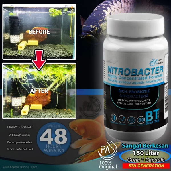 my-11134207-820lh-mg7o9s62gpoq51.webp Nitrobacter Gen5