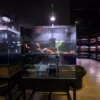 my-11134233-7rasj-m87i9x77qeps96.webp Amazon Soil 1L 3L Aquarium Water Plant Soil Water Grass Mud Aquascape Fish Tank Soil