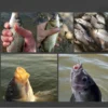 sg-11134201-7rbm1-lo4vt4pfjr69e5.webp 12pcs Fishing Flipping Hook Automatic Anti Running Fish Anti Drop Line Double Barb With Titanium Manganese Alloy Magic Handy